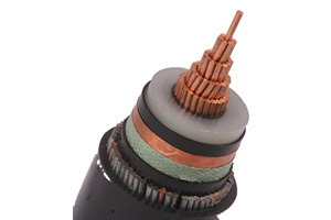 Одножильный кабель N2XSRY (CU/XLPE/SWA/PVC)