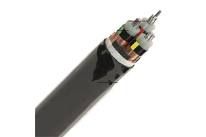 Трехжильный кабель NA2XSEY (AL/XLPE/CTS/PVC)